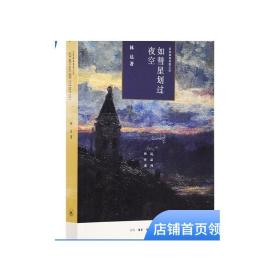 如彗星划过夜空：近距离看美国之四