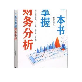 一本书掌握财务分析（拥有财务分析能力，就拥有了财务思维，就能在内部决策和外部投资中获益）