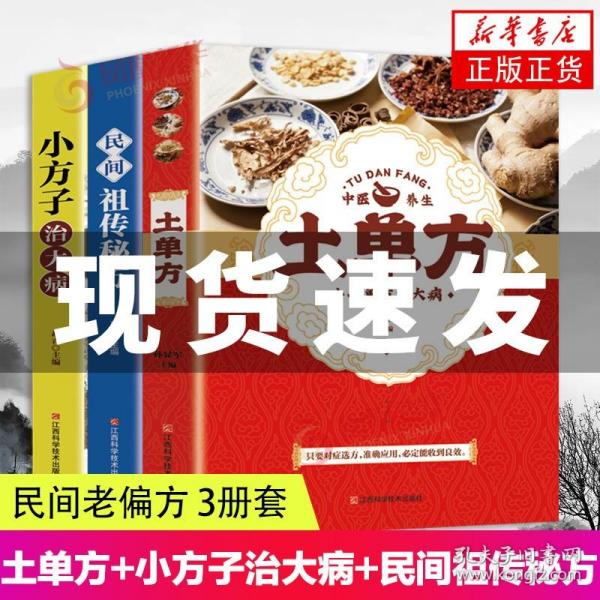 民间祖传秘方 中医书籍养生偏方大全民间老偏方美容养颜常见病防治 保健食疗偏方秘方大全小偏方老偏方中医健康养生保健疗法