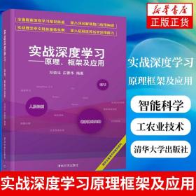 实战深度学习——原理、框架及应用