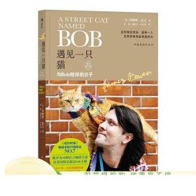 遇见一只猫:与Bob相伴的日子