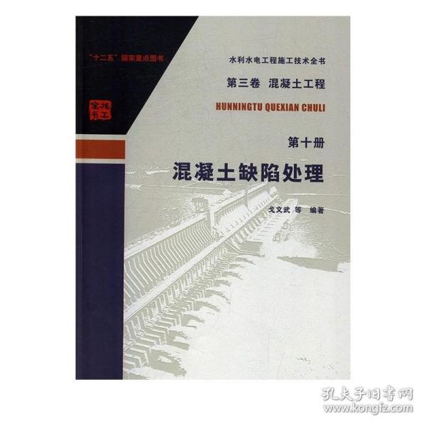 水利水电工程施工技术全书（第三卷）·（混凝土工程 第十册）：混凝土缺陷处理