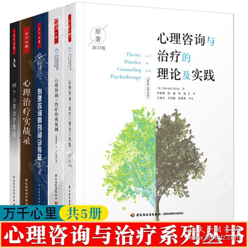 心理咨询与治疗的理论及实践+心理咨询与治疗经典案例+心理咨询师问诊策略+心理治疗实战录+101个心理治疗难题 心理咨询与治疗书籍