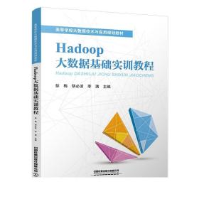 Hadoop大数据基础实训教程 计算机教材 大数据 Hadoop 数据处理 学历教材 彭梅 胡必波 李满