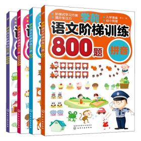 学前语文阶梯训练800题 拼音+识字+词语和句子+综合练习4册 幼升小儿童识字幼儿认字学前班练习册学前语文拼音拼读训练学习教材书