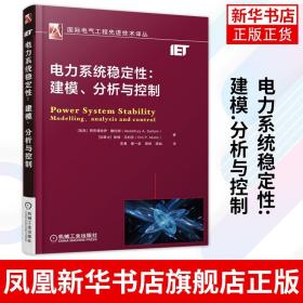 电力系统稳定性：建模、分析与控制