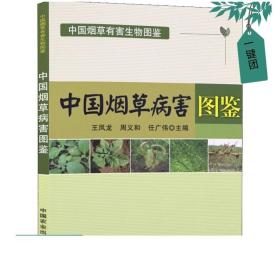 中国烟草病害图鉴/中国烟草有害生物图鉴