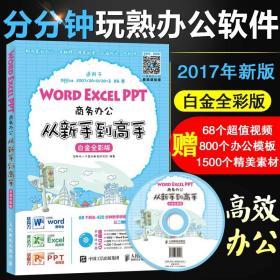 Word Excel PPT商务办公从新手到高手 白金全彩版