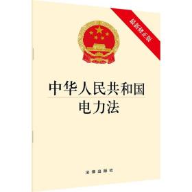 中华人民共和国电力法 9787519731830 法律出版社