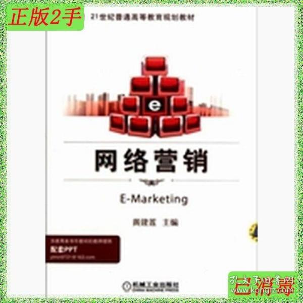 21世纪普通高等教育规划教材：网络营销