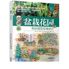 盆栽花园——阳台微型花境设计（庭要素）