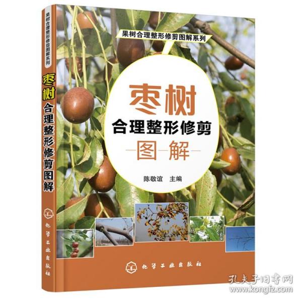 果树合理整形修剪图解系列--枣树合理整形修剪图解