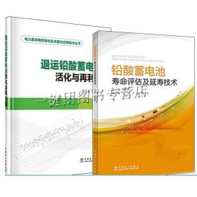 2册 退运铅酸蓄电池活化与再利用+铅酸蓄电池寿命评估及延寿技术 蓄电池在线监测及核容技术 铅酸蓄电池工艺技术原理书籍电池技术