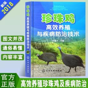 珍珠鸡高效养殖与疾病防治技术鸡病诊断治疗书 珍珠鸡繁育技术养殖场建造经营管理书籍珍珠鸡山鸡养殖技术大全珍珠鸡饲养技术书籍