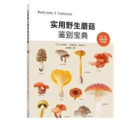 全2册名贵珍稀菇菌栽培新技术丛书--羊肚菌·玉蕈·鸡枞菌+实用野生蘑菇鉴别宝典食用菌栽培技术书羊肚菌种植农业书籍技术现代科学