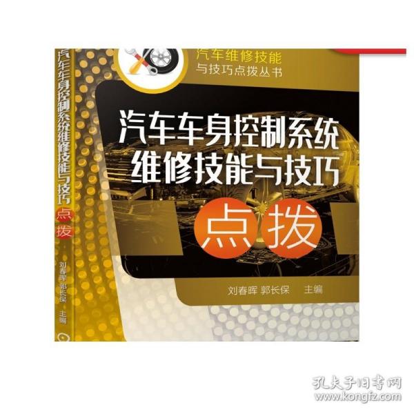 汽车车身控制系统维修技能与技巧点拨