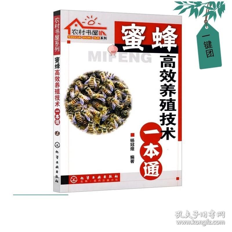 农村书屋系列 蜜蜂高效养殖技术一本通 杨冠煌 养殖 蜜蜂养殖技术大全书籍 中蜂养殖技术实用 养蜂书籍大全中蜂养殖技术大全书