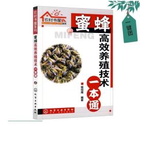 农村书屋系列 蜜蜂高效养殖技术一本通 杨冠煌 养殖 蜜蜂养殖技术大全书籍 中蜂养殖技术实用 养蜂书籍大全中蜂养殖技术大全书