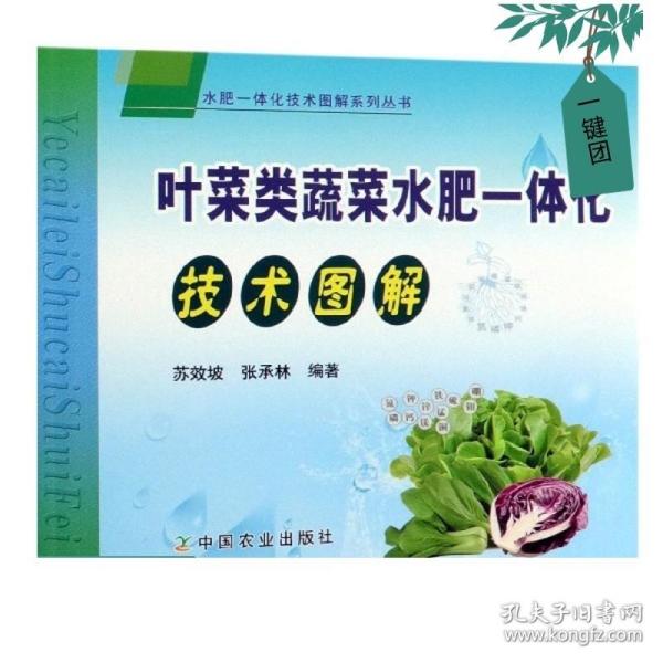 叶菜类蔬菜水肥一体化技术图解