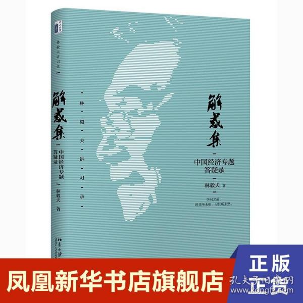 解惑集：中国经济专题答疑录