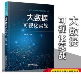 正版 大数据可视化实战 9787113276010大数据技术计算机书籍“十四五”普通高等学校规划教材数据处理徐新爱著中国铁道出版社