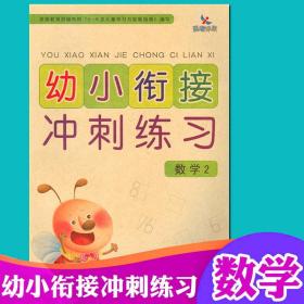 幼小衔接冲刺练习：数学2