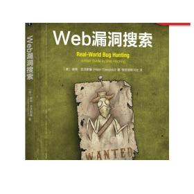 Web漏洞搜索