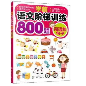 学前语文阶梯训练800题 词语和句子 小学学前班大班练习册字母幼儿的基础启蒙书 语文学前练习幼小衔接拼读训练童幼儿园书籍