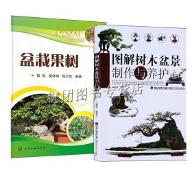 2册 盆栽果树+图解树木盆景制作与养护 苹果梨山楂桃杏李葡萄草莓石榴柿金橘柠檬佛手无花果果树盆景制作技术书籍果树盆栽修剪整形