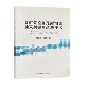 煤矿采空区瓦斯地面抽采关键理论与技术