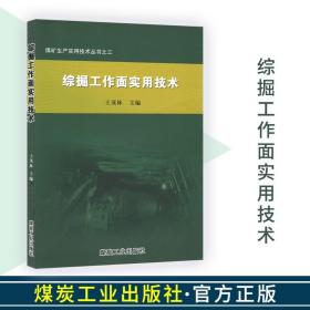 煤矿生产实用技术丛书：综掘工作面实用技术