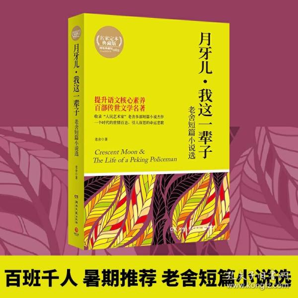 博集典藏馆：月牙儿·我这一辈子