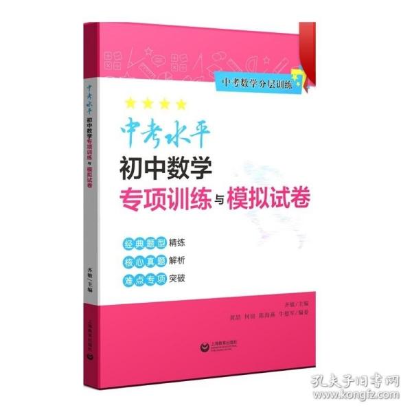 中考水平初中数学专项训练与模拟试卷