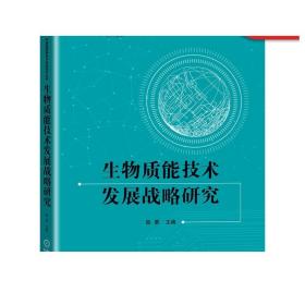 生物质能技术发展战略研究