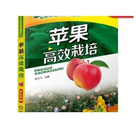 正版 苹 果高 效栽培 张力飞 种植致富直通车 农业经典实用技术图书 技能培训教材