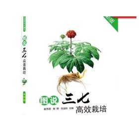 正版 图说三七高 效栽培 崔秀明  杨野  刘迪秋 经典实用农业育苗种植管理图书 技能培训教材