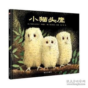 小猫头鹰/信谊世界精选图画书 绘本 (爱尔兰)马丁·韦德尔
