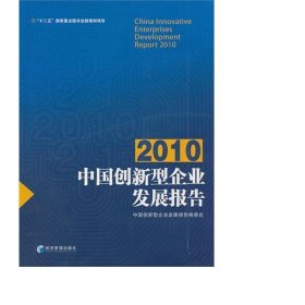 中国创新型企业发展报告(2010) 管理理论 梅永红
