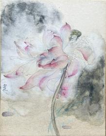 孙云凤老师荷花作品   南京白云堂画廊 孙云凤工笔 41×32cm