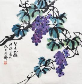 陈穆之老师花鸟  南京白云堂  陈穆之花鸟作品68x68cm