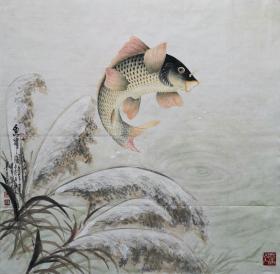 金陵画鱼人朱贵成作品 工笔鱼68x68cm 白云堂画廊保真 朱贵成工笔鱼作品鱼跃图