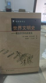 世界文明史——观察世界的新视角