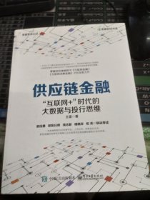 供应链金融：“互联网+”时代的大数据与投行思维