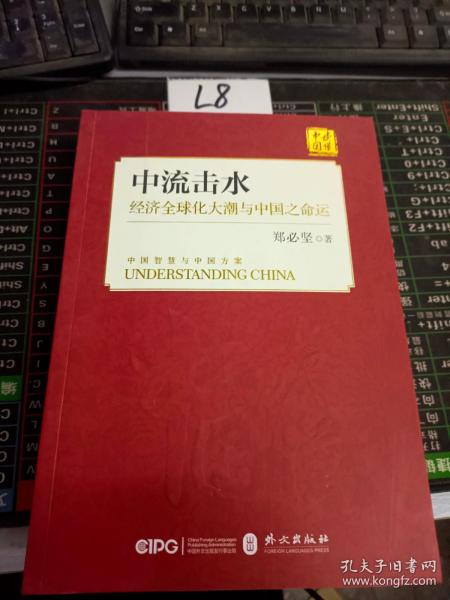 中流击水：经济全球化大潮与中国之命运（中文版）