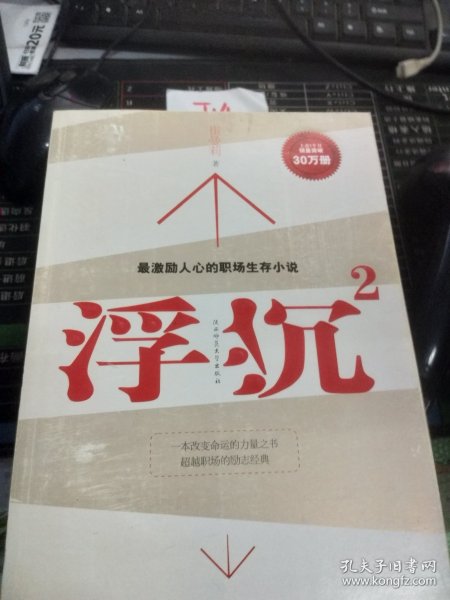 浮沉2：微软全球副总裁张亚勤鼎力推荐