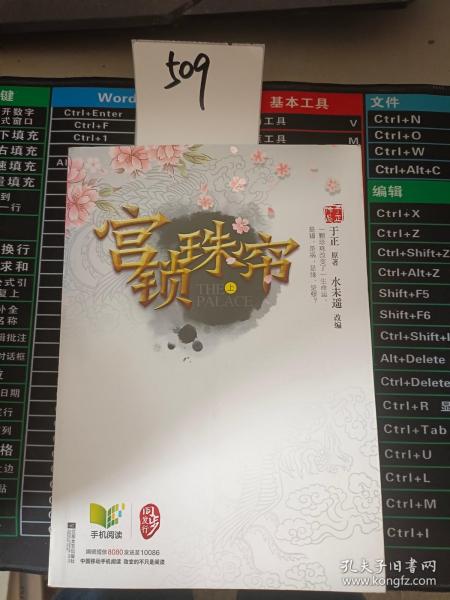 宫锁珠帘：上