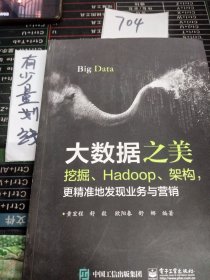 大数据之美：挖掘、Hadoop、架构，更精准地发现业务与营销