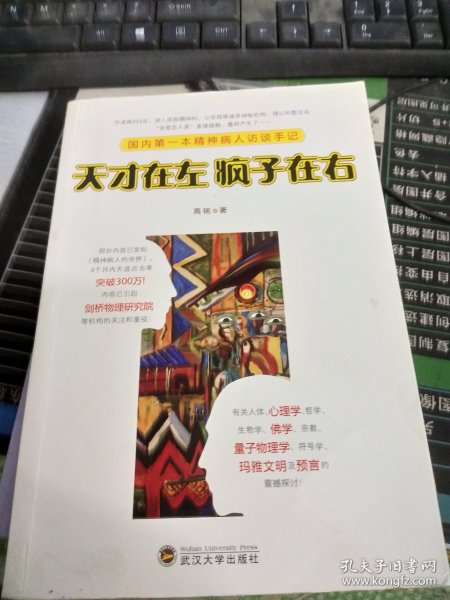 天才在左 疯子在右：国内第一本精神病人访谈手记