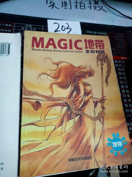 MAGIC地带：《电子游戏软件》杂志特刊