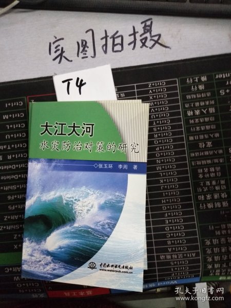 大江大河水灾防治对策的研究